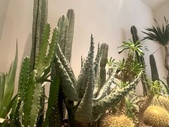 -J Create城市露营咖啡·简餐·宠物(上海动物园店)