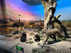 -国家自然博物馆