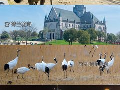 -黄海国家森林公园