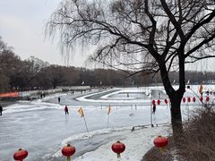 -北陵公园