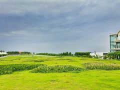 -紫颐香薰山谷景区