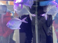 -宁波国际会展中心