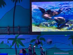 -石家庄极地海洋世界