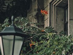 -老外滩