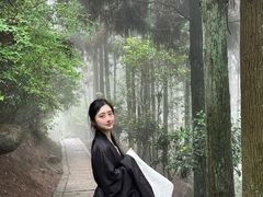 -玉苍山国家森林公园