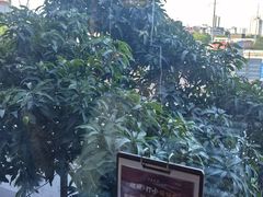 -牛头鱼庄·地道广西菜(西明店)