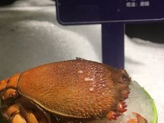 -海天盛宴海鲜自助(正大广场店)