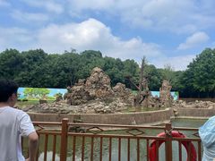 -合肥野生动物园