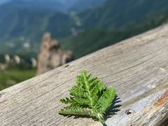 -白草畔自然风景区