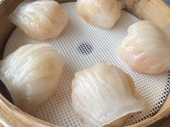 -金苑海鲜酒家(来魅力店)