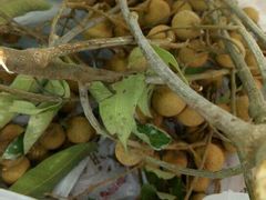 -成都濑川外国语学校