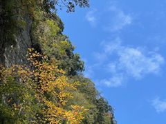-光雾山旅游景区
