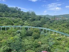 -铜川市金锁关石林