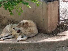 -石家庄市动物园