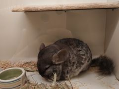 -龙猫仔乐园(惠福东路店)