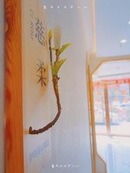 -慈蕊美容养生·专业经络调理