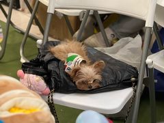 -凯德广场(武胜路店)