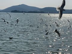 -蠡湖大桥公园