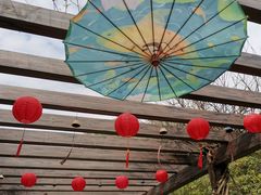 -白马涧龙池景区