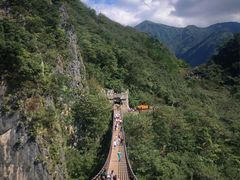 -武陵山森林公园