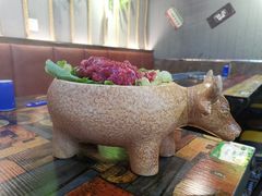 -刘少华贵州小黄牛·鲜牛肉火锅(总店)