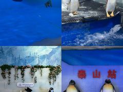 -郑州银基冰雪世界