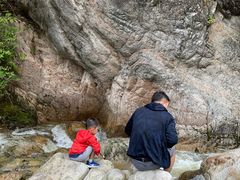 -陕西省红河谷森林公园