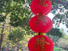 -荔湾湖公园