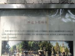 -四门塔风景区