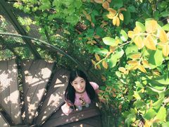 -三鹰之森吉卜力美术馆