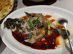 清蒸龙胆鱼-紫阳海鲜楼·传承闽味(长乐路总店)