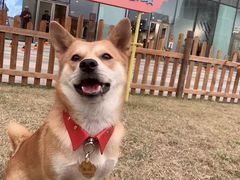 -凯德广场(西城店)