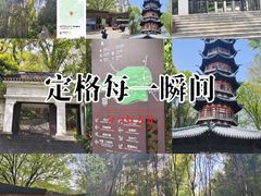 -上海佘山国家森林公园西佘山园