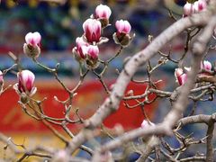 -终南山南五台景区