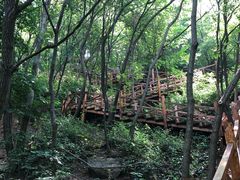 -大岭沟猕猴桃谷风景区
