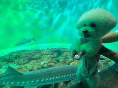 -太平洋海底世界