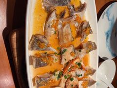 -鸽舞笙平金牌烧鸽子·融合菜(鲁谷店)