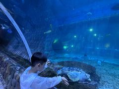 -华夏文旅西安度假区