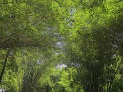 -晓港公园