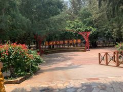 -北海金海湾红树林生态旅游区