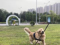 -山西体育中心红灯笼体育场