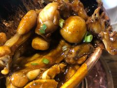 -老佛爷蛙锅•鲜蛙煲(麦凯乐店)