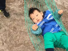 -北海金海湾红树林生态旅游区