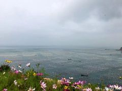 -枸杞岛