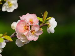 -陶然亭公园