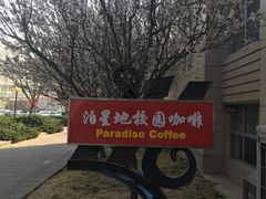 -泊星地咖啡馆(北京大学家园店)