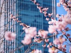 -静安雕塑公园
