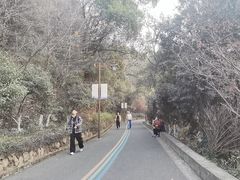 -杭州半山国家森林公园