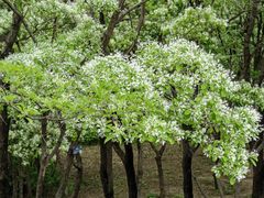 -国家植物园南园