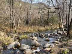 -玉渡山自然风景区